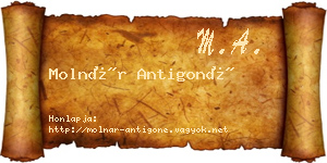 Molnár Antigoné névjegykártya
